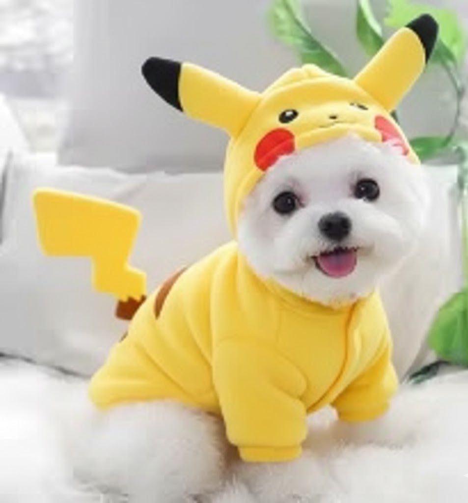 Ultra-soft fleece hoodie for winter comfort ❄️ Designed for small dogs & cats 🐾 Limited stock available — shop now 🛒